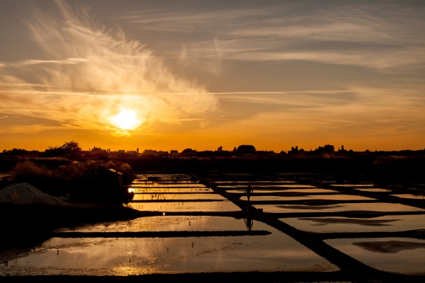 Marais salants au coucher du soleil